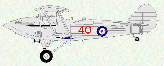 Hawker Hind of No 40 Squadron