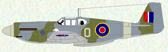 Mustang I of No 414 Squadron (only individual code letter)