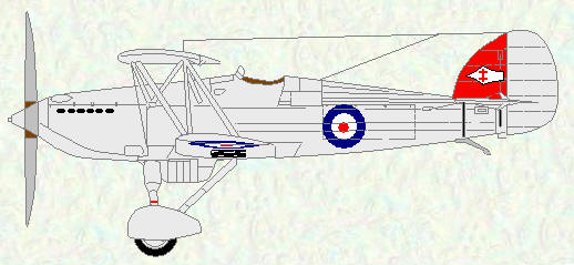Fury II of No 41 Squadron