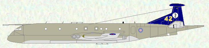 Nimrod MR Mk 2P of No 42 Squadron (special display scheme)
