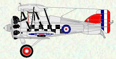 Gamecock I of No 43 Squadron
