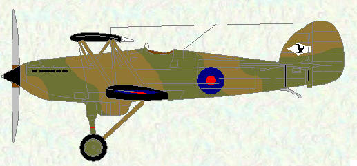 Fury I of No 43 Squadron (camouflage scheme)