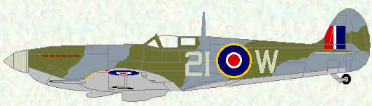 Spitfire IX of No 443 Squadron