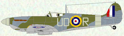 Spitfire VB of No 452 Squadron