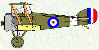 Camel of No 46 Squadron - Nov 1917 - Mar 1918
