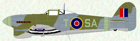 Typhoon IB of No 486 Squadron (late 1943)