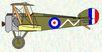 Camel of No 70 Squadron Jul 1917 - Mar 1918