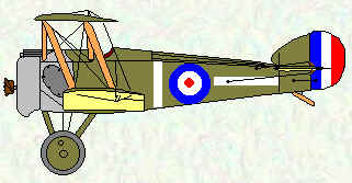 Camel of No 66 Squadron