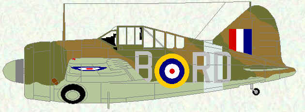 Buffalo I of No 67 Squadron