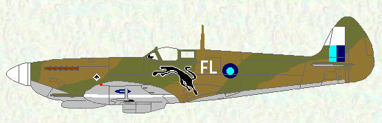 Spitfire VIII of No 81 Squadron