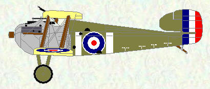 Dolphin of No 87 Squadron (Dec 1917 - Mar 1918)