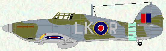 Hurricane IIC of No 87 Squadron