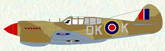 Kittyhawk III of No 450 Squadron