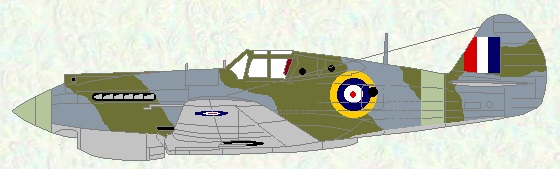 Tomahawk I/IIB as used by No 231 Squadron