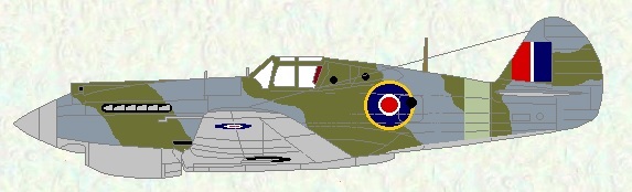 Tomahawk IIA as used by No 241 Squadron