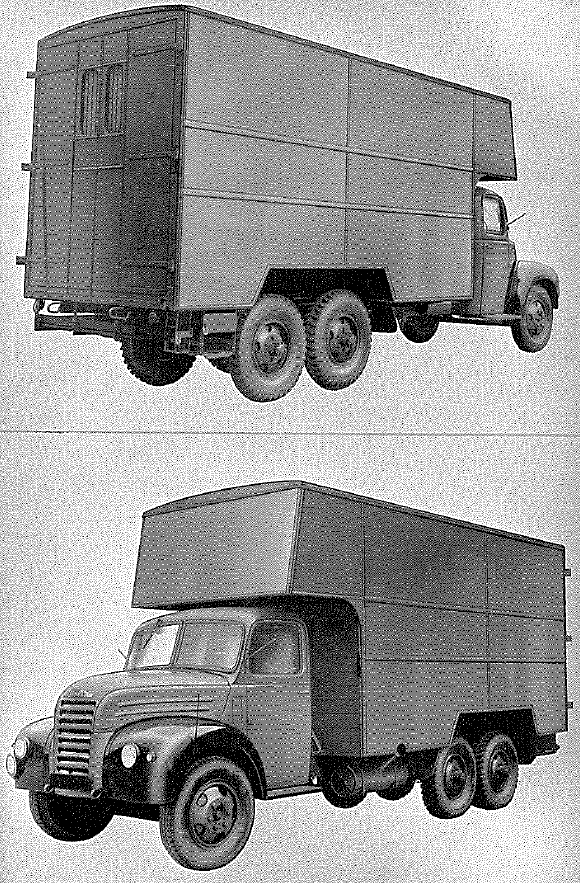 Body, Signals Type Stores